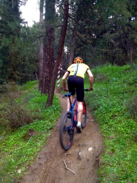 11039540 336366639904429 1440456476 n