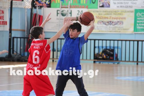 basket IMG 2091