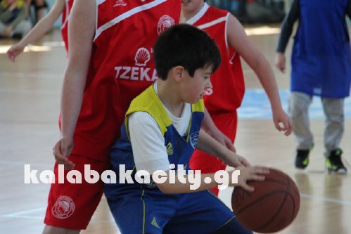 basket IMG 2097