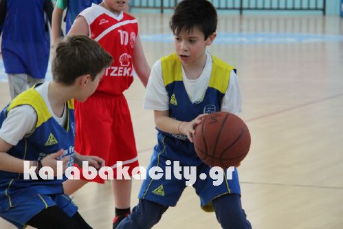 basket IMG 2101