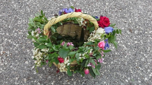 13012770 10207467484543250 1990166826644874836 n