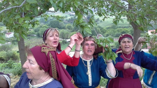 13095781 10207467480903159 8819947105433905125 n