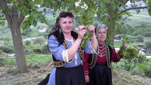 13096240 10207467480343145 8896021288632124997 n