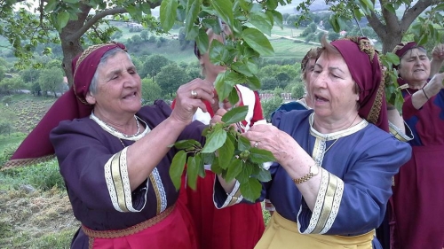 13096248 10207467481463173 8255984865136468798 n