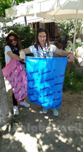 SEO12985362 604825903016102 6432555967376608865 n