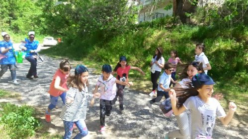 SEO13012711 604830519682307 5250411836746668853 n