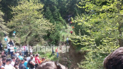 received 10209714911051376 wm