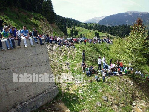 received 1143490202348756 wm