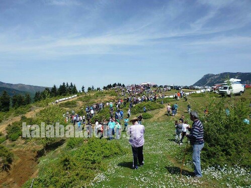 received 1143492712348505 wm