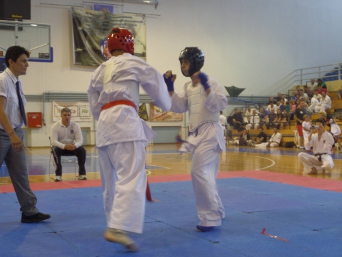 13235603 267194286962358 3520057765975462529 o