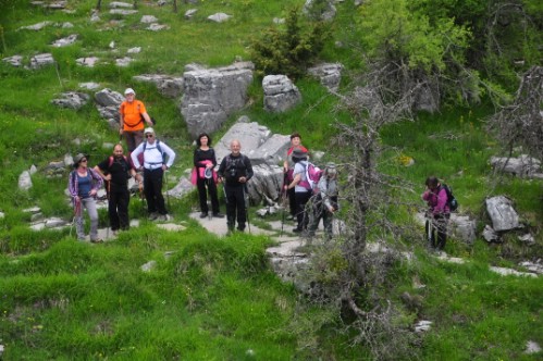 olk vradeto DSC 0452