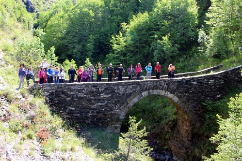 olk vradeto IMG 2280