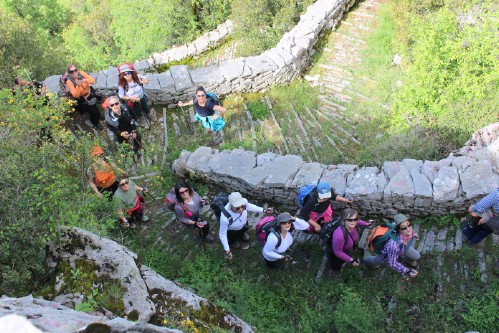 olk vradeto IMG 2290 (1)