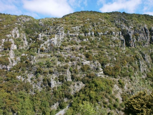 olk vradeto P5220941