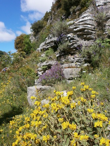 olk vradeto P5221001