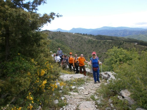 olk vradeto P5221041