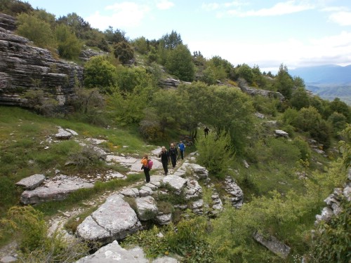 olk vradeto P5221059