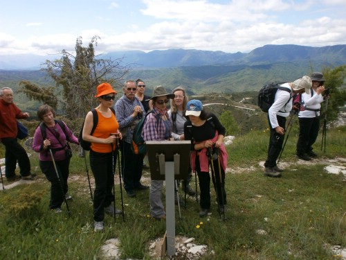 olk vradeto P5221065