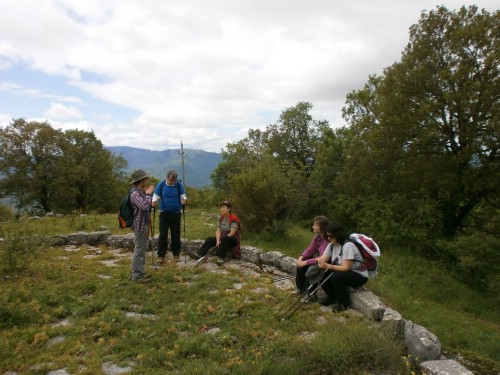 olk vradeto P5221095