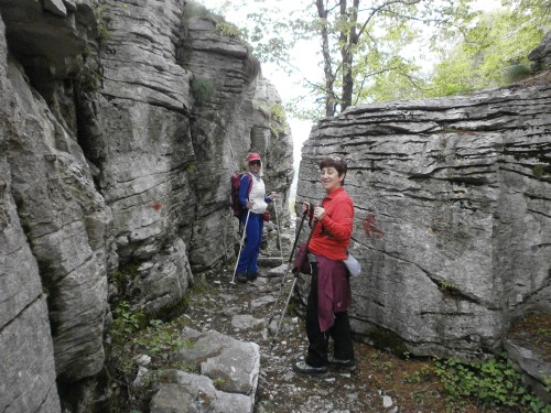 olk vradeto P5221136