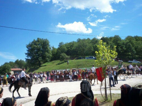 received 898231246952279 wm