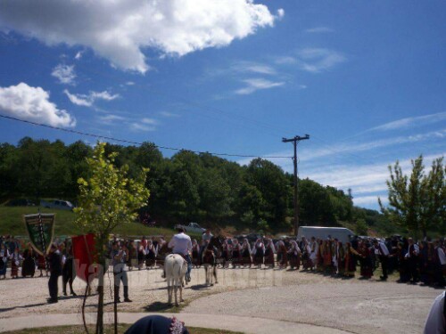 received 898231263618944 wm