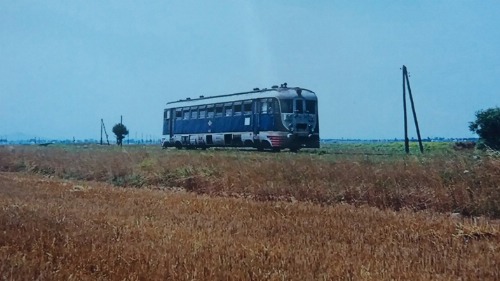 ose mouseio trikalaose bagoni2