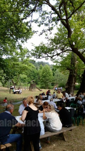 received 10206826253521818 wm