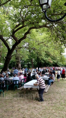 received 10206826253921828 wm