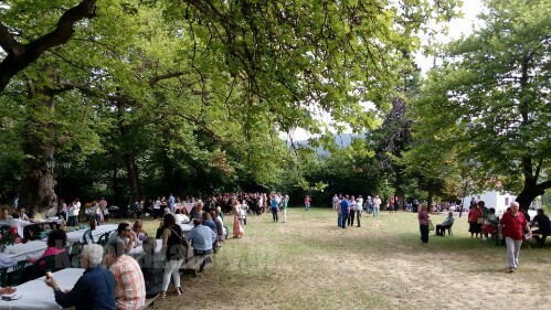 received 10206826254161834 wm