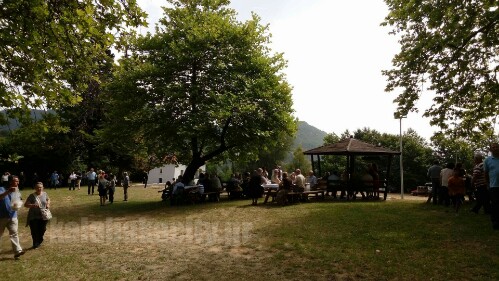 received 10206826254201835 wm