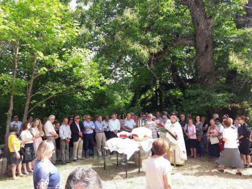 received 10206826268162184 wm