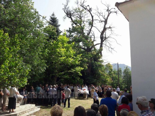 received 10206826268922203 wm