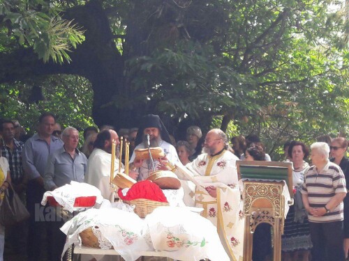 received 10206826270322238 wm