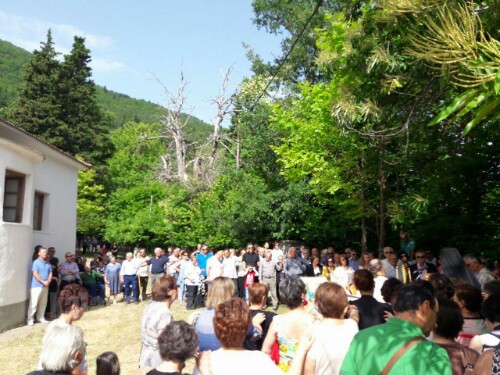 received 10206826270602245 wm