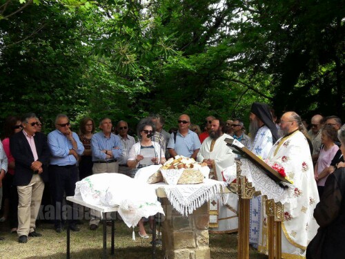 received 10206826271522268 wm