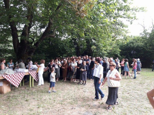 received 10206826273322313 wm