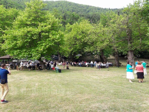 received 10206826274122333 wm