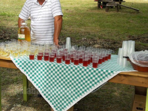 received 10206826274722348 wm