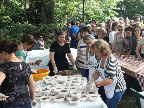 received 10206826275122358 wm