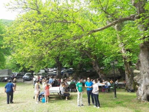 received 10206826294322838 wm