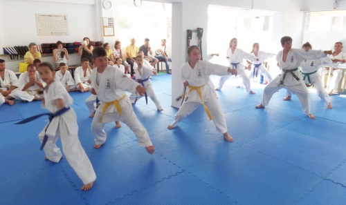 received 286047381743715