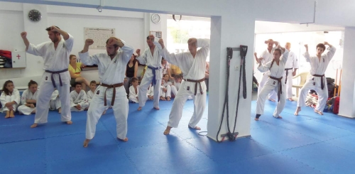 received 286048021743651