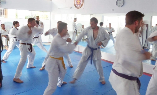 received 286048088410311