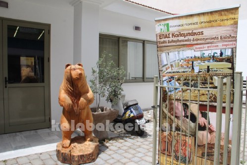 xyloglyptiki kalabakas IMG 9315