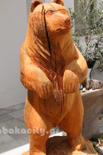 xyloglyptiki kalabakas IMG 9317