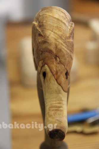 xyloglyptiki kalabakas IMG 9389