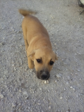 13833368 1129680060450366 429582724 o