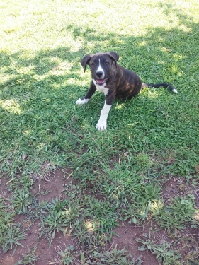 13833535 1129679977117041 87153260 o