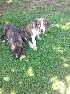 13835565 1129679730450399 186521139 o